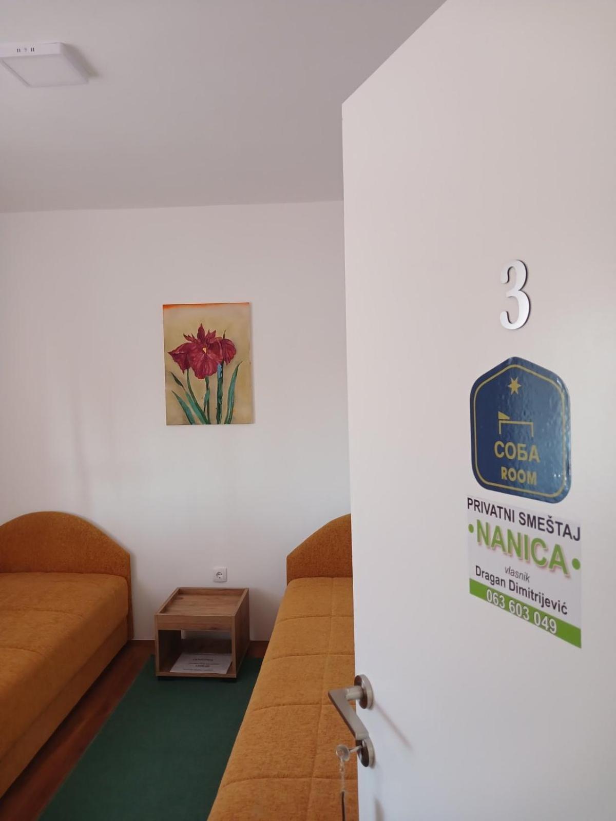 Privatni Smestaj Nanica Mataruska Banja Exterior foto